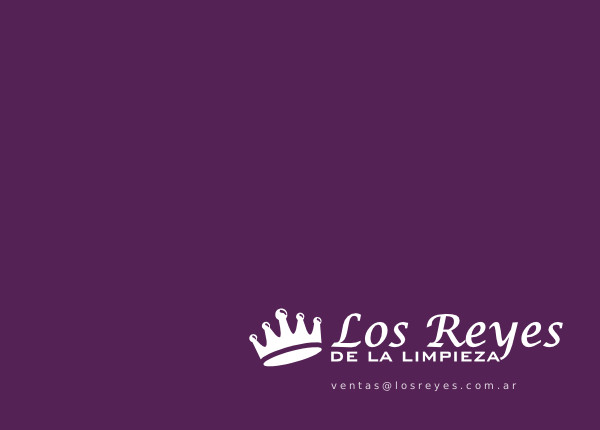 Los Reyes de la Limpieza
